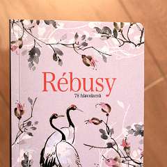 20: Rebusy 78 hlavolamu