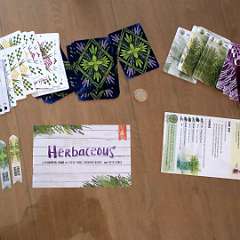 5: Herbaceous