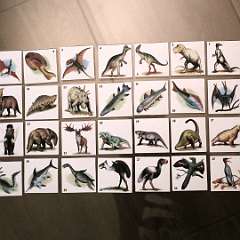 16: IMG_4037