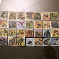 57: IMG_4082