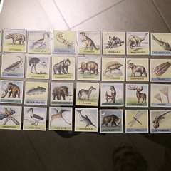 60: IMG_4085