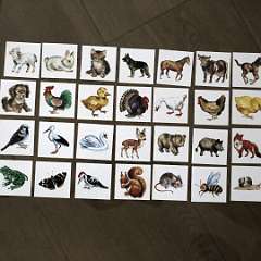 81: IMG_4108
