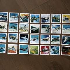 82: IMG_4109
