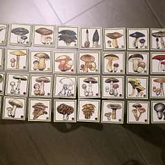 102: IMG_4129