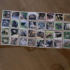 119: IMG_4146