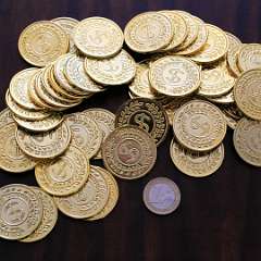 26: Pirate_Plastic_S_Coin