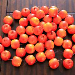 101: Artificial_Small_Apples_Orange