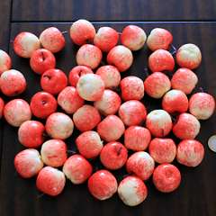 102: Artificial_Small_Apples_Pink