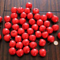 100: Artificial_Small_Apples_Red