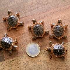 92: Turtle_Brown_37mm