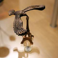 6: Blance eagle on eiffel