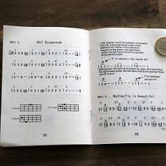 40: Ukulele_Beginner_tutorial