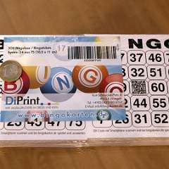 8: 500 Bingotickets 24 from 75