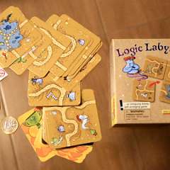 8: Logic Labyrinth HABA