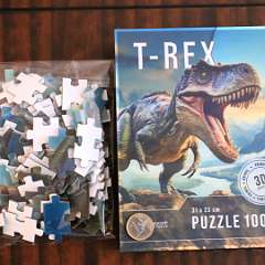 10: T-Rex 3D 100