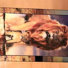 14: 3D Magne Puzzle-Loewe 32