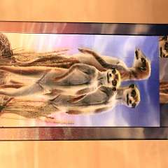 12: 3D Magne Puzzle-Surikata 32