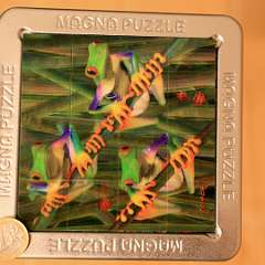 5: 3D Magne Puzzle-Tree Frogs 16