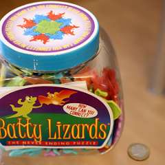 10: Batty Lizards