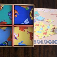 21: Solologic Impossiblo Animo