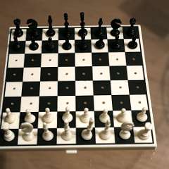 25: Chess-Mini09