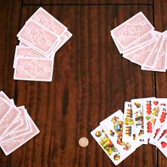 17: Vole_Padni