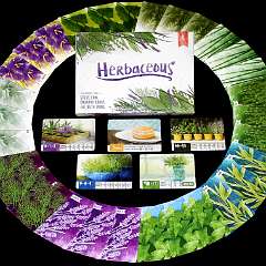 4: Herbaceous4