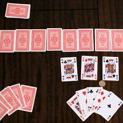 12: IMG_7484