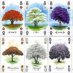 2: Arboretum