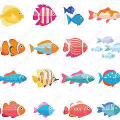 14: fish2