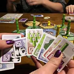 6: Takenoko05