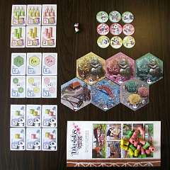 7: Takenoko06