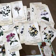 19: Botanical Oracle Cards 45PCS Tarot Card