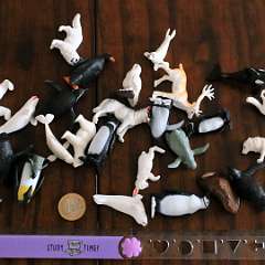 74: Artic_Wildlife