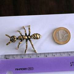 107: BrassAnt