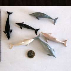 68: Delfins
