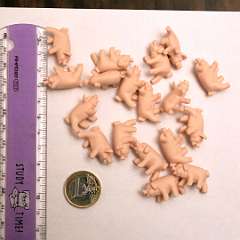 101: Mini Pigs