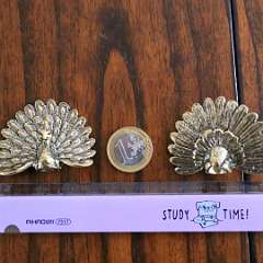 116: Peacock_Brass