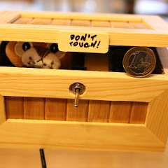 5: Angry Cat