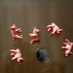 14: Dice Pigs
