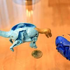 16: Eggs Dinosaur