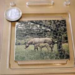 18: Wooden Mini puzzle horse 99