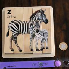 17: Zebra