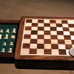 21: Chess-Mini05