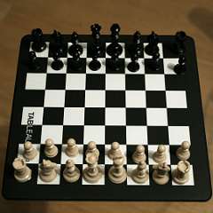 22: Chess-Mini06