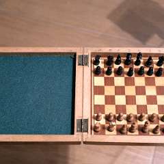 24: Chess-Mini08