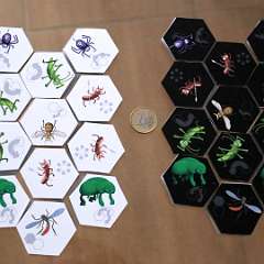 7: Hive-Bug02