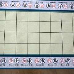14: Banqi