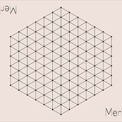 5: Meridiansboard_standard