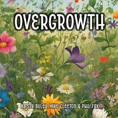 Overgroth